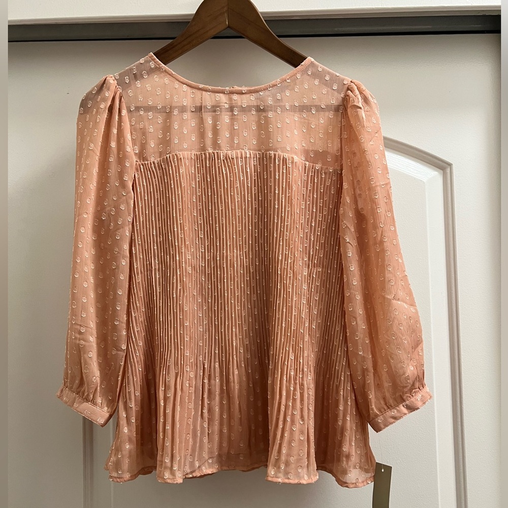 NWT Figueroa & Flower Swiss Dot Pleated Blouse - Picture 1 of 6